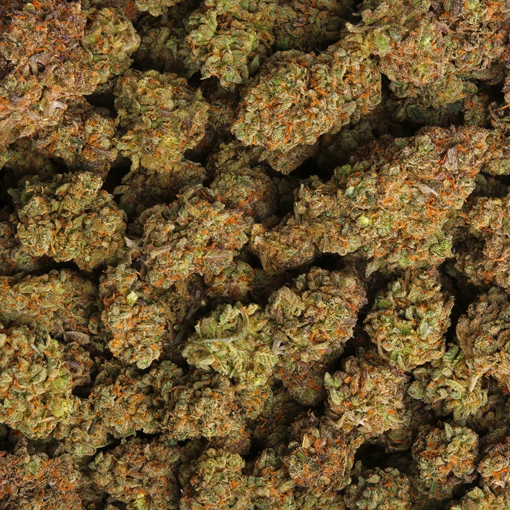 Buy Cannabis Online France Buy Green Crack Strain Europe. It is a great daytime strain that may help consumers fight fatigue, stress, and depression.