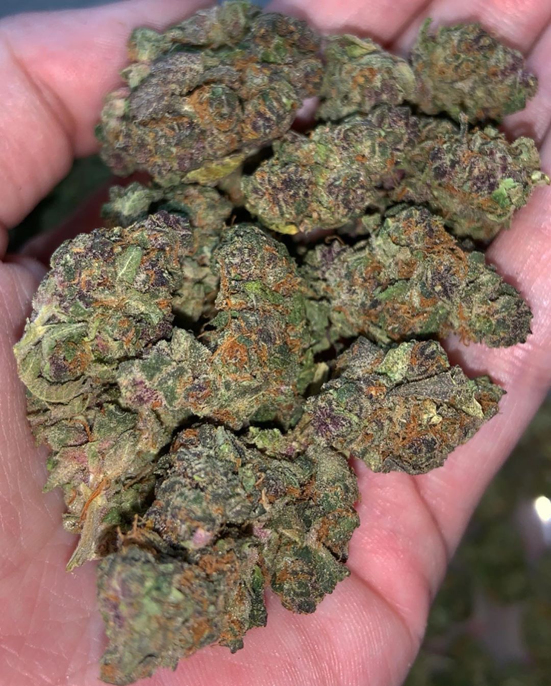 Buy Fruit Punch Strain Europe Buy Cannabis Online Germany. Its swift hit of sweet and tropical flavors, has something to offer in both taste and effect.
